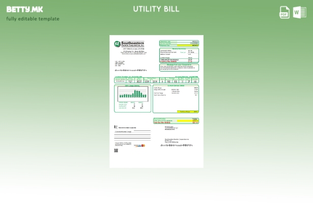 Модерен стил на САД Јужна Дакота Југоисточна електрична енергија шаблон сметки з